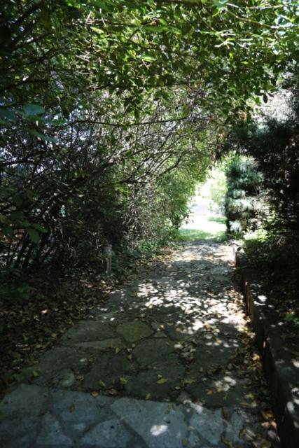 A L'Oree Des Cevennes Aigremont Exterior foto